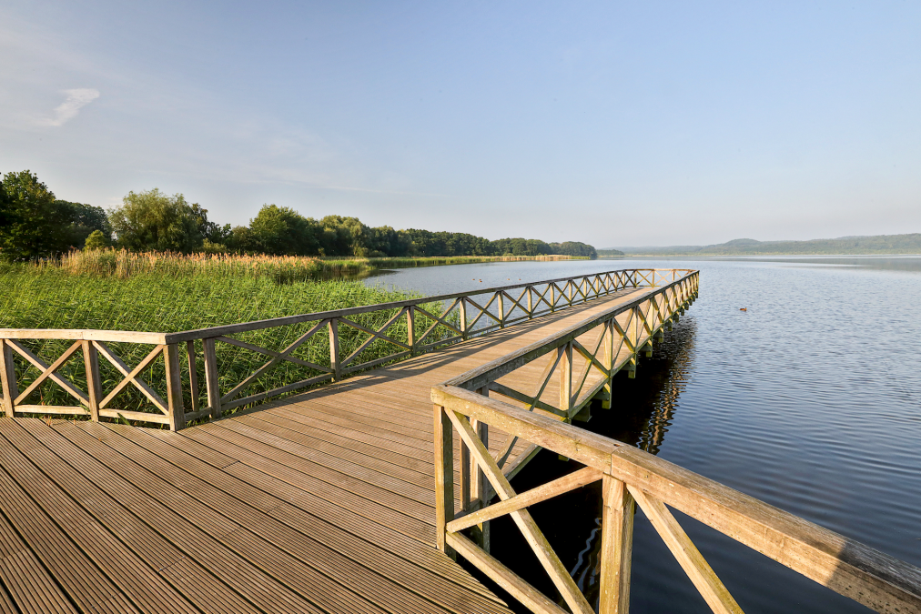 park-am-schmachter-see_3, © TMV/Gohlke