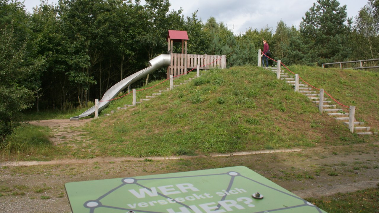 Entdeckerpfad Biologische Vielfalt in der Rostocker Heide // © Stadtforstamt Rostock/P. Kuhr Entdeckerpfad Biologische Vielfalt in der Rostocker Heide // © Stadtforstamt Rostock/P. Kuhr