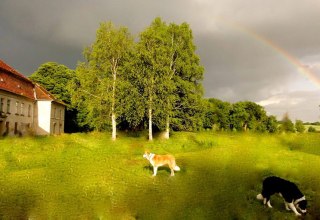 Schloss Neuhoff // © Schloss Neuhoff Schloss Neuhoff // © Schloss Neuhoff