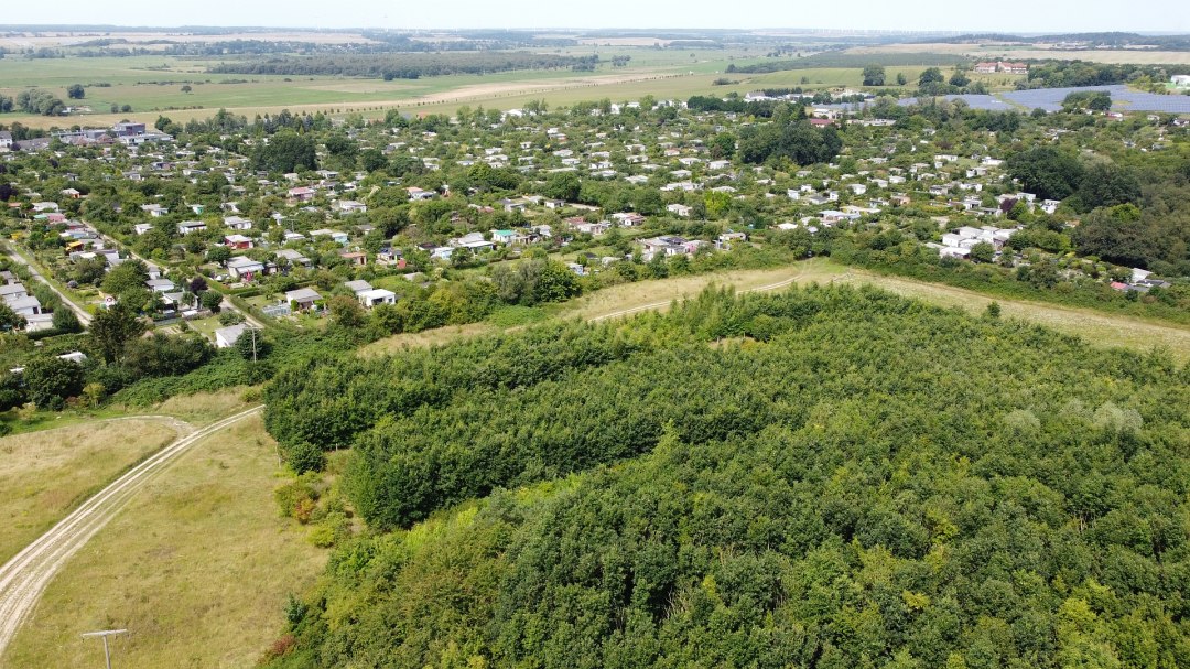 Klimawald Neubrandenburg-Nettelkuhl, &copy; Landesforst MV