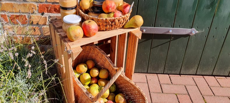 Appeldag . frischer Apfelsaft aus der Presse und Sortenbestimmung // © S. Maus Appeldag . frischer Apfelsaft aus der Presse und Sortenbestimmung // © S. Maus