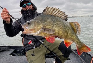 MV Guiding - Moritz Schulz, © Moritz Schulz