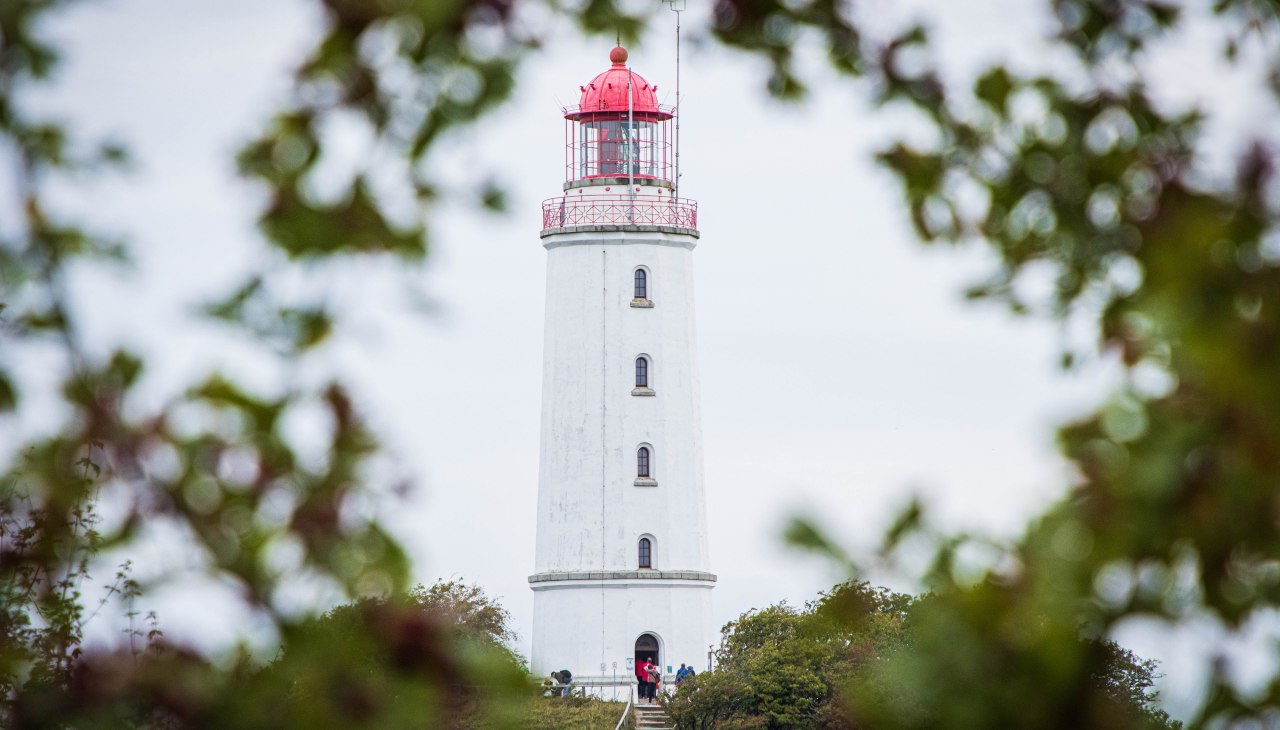 Erleben Sie die Insel Hiddensee bei einem Tagesausflug ab Stralsund., &copy; Wei&szlig;e Flotte GmbH