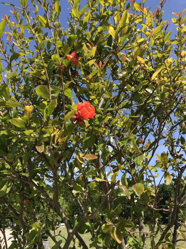 &copy; Stadt Ludwigslust