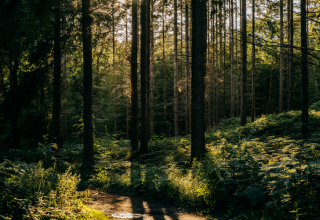 &copy; Binzer Bucht Tourismus