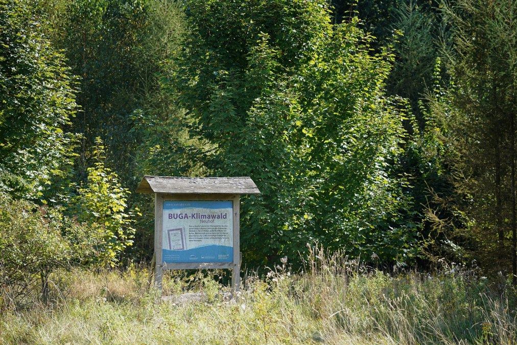 Klimawald Neuhof Infotafel, &copy; Landesforst MV