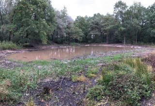 Renaturierte Kubelkakuhle im Jahr 2024. // &copy; Biosph&auml;renreservatsamt Schaalsee-Elbe