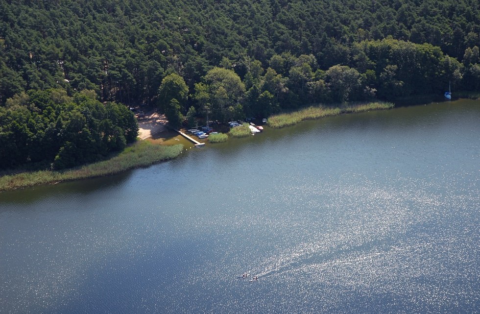 Der Campingplatz liegt im lichten Kiefernwald - direkt am Leppinsee. // © Haveltourist Der Campingplatz liegt im lichten Kiefernwald - direkt am Leppinsee. // © Haveltourist