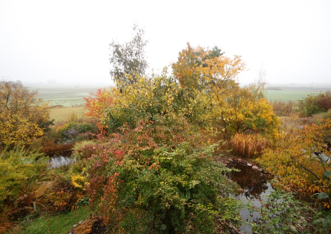 Herbst - Farbenspiel // &copy; Claus Gering