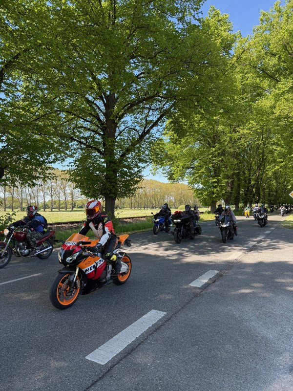 © Dagmar Krüger TI © Dagmar Krüger TI