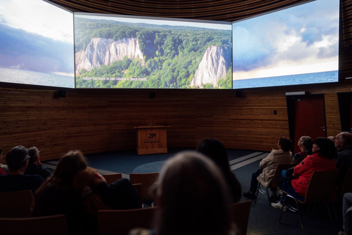 Ein Kinoraum mit einer großen Panoramaprojektion, vor der mehrere sitzende Personen nach vorne schauen. // © Nationalpark-Zentrum KÖNIGSSTUHL / Dan Petermann Ein Kinoraum mit einer großen Panoramaprojektion, vor der mehrere sitzende Personen nach vorne schauen. // © Nationalpark-Zentrum KÖNIGSSTUHL / Dan Petermann