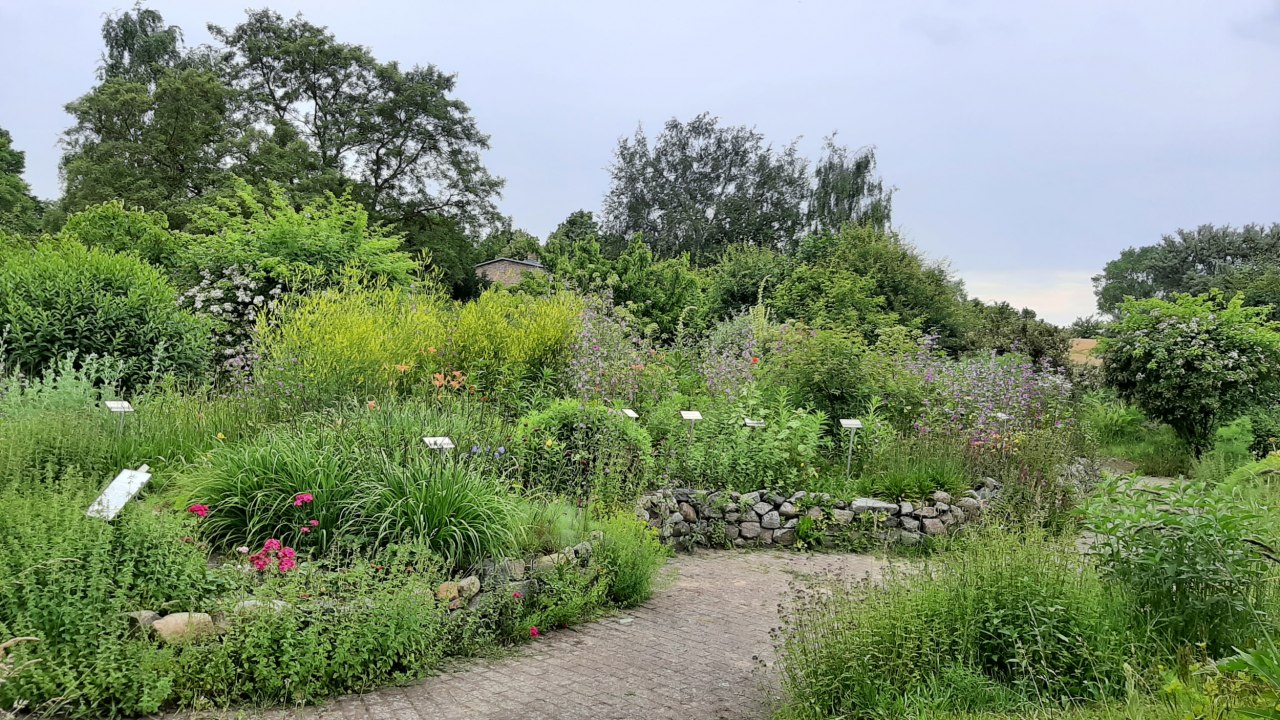 Blick auf eines der beiden mit Feldsteinen eingefassten Hochbeete im unteren Teil des Gartens. Eine Frühsommer-Aufnahme. Ein gepflasterter Weg führt um die Beete herum. // © Mirabell e.V. Blick auf eines der beiden mit Feldsteinen eingefassten Hochbeete im unteren Teil des Gartens. Eine Frühsommer-Aufnahme. Ein gepflasterter Weg führt um die Beete herum. // © Mirabell e.V.