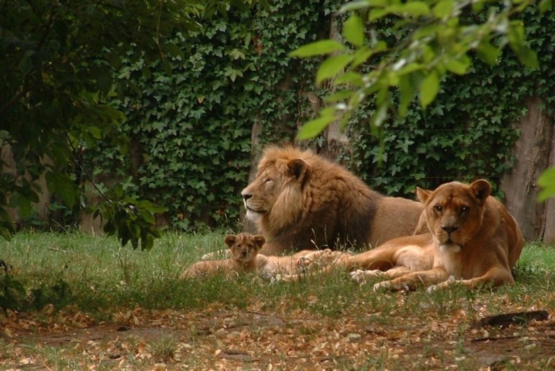 © Zoo Stralsund © Zoo Stralsund