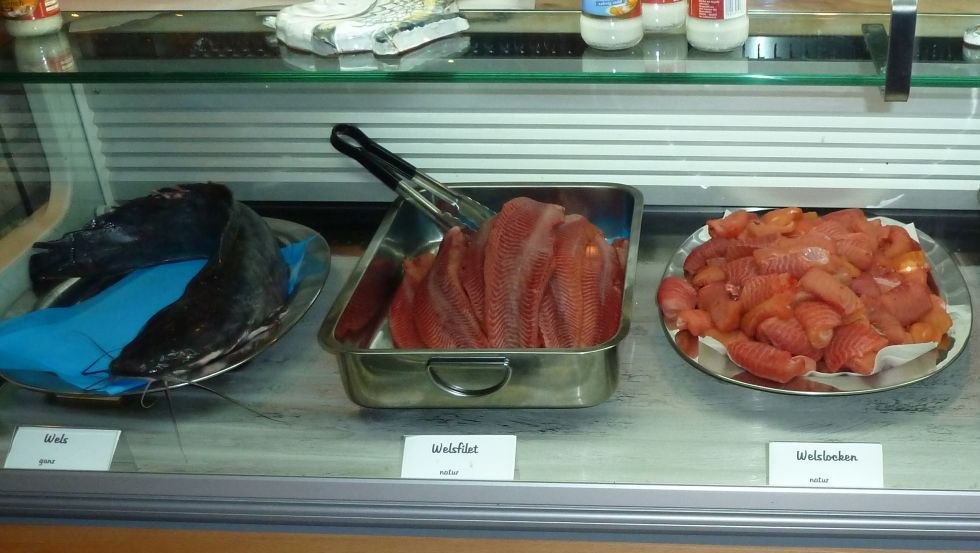 Wels in allen Variationen - als Welsklops, Welsspie&szlig;, als Filet oder auch ger&auml;uchert // &copy; MV-T/Trampnau