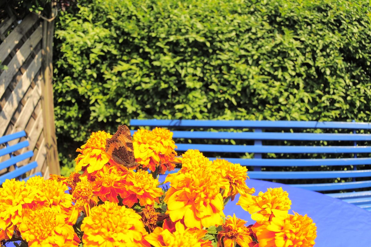 Sitzecke im Garten vor dem Ferienzimmer // &copy; Kleines Fischerhaus