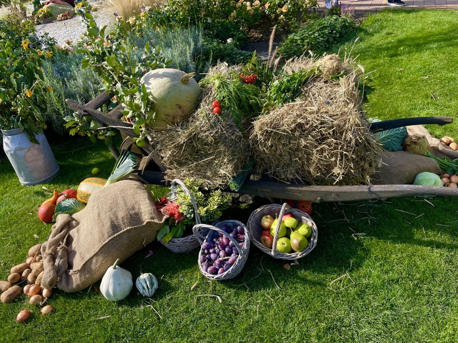 29. Ückeritzer Kartoffelfest, © Kartoffelfest.jpeg 29. Ückeritzer Kartoffelfest, © Kartoffelfest.jpeg