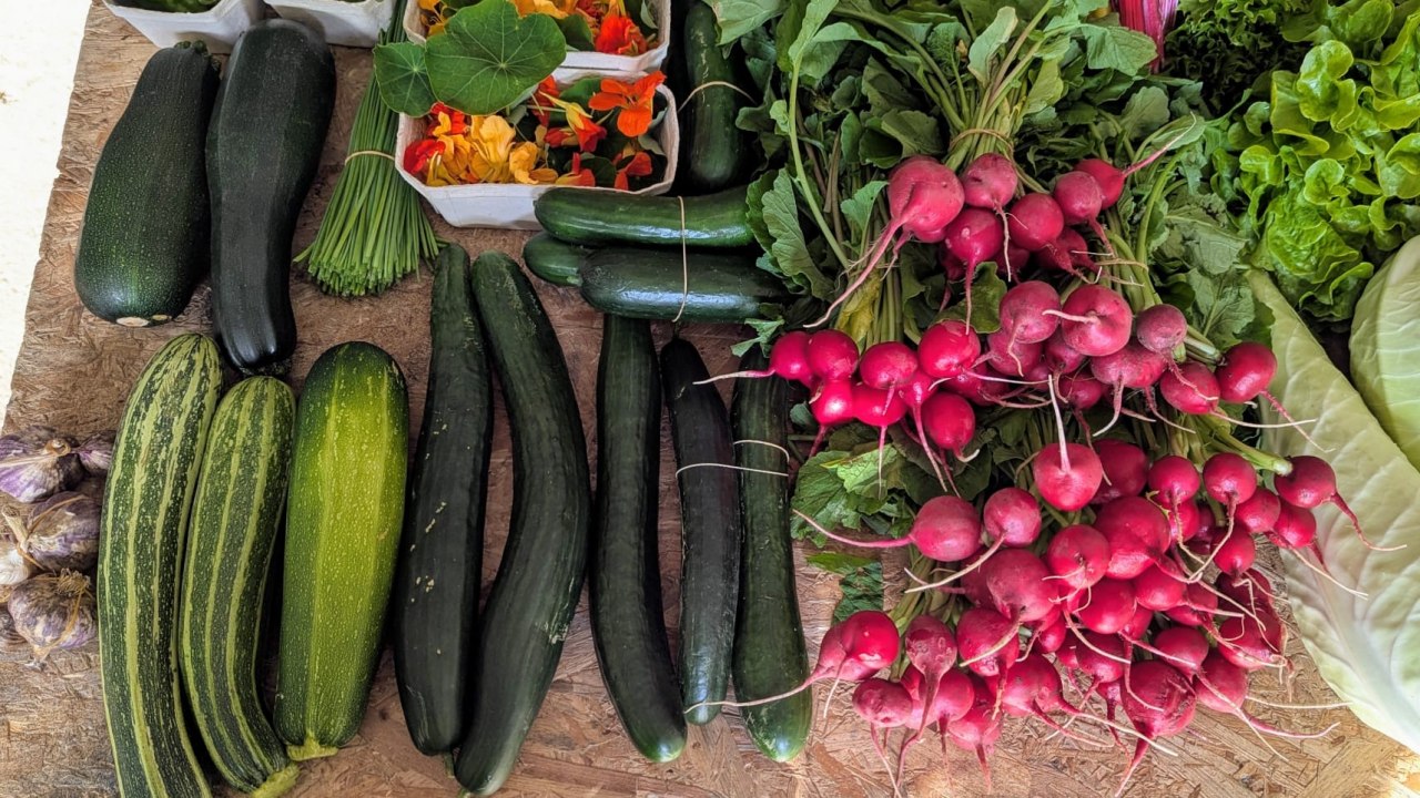 Gem&uuml;seauswahl // &copy; Solawi Stralsund