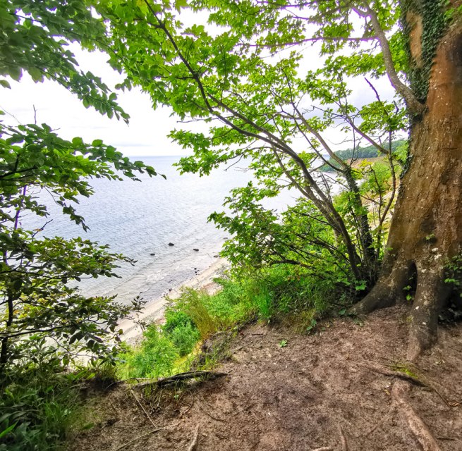 Rangerführung im Biosphärenreservat Südost-Rügen - Göhrener Nordperd, © Biosphärenreservat Südost-Rügen Rangerführung im Biosphärenreservat Südost-Rügen - Göhrener Nordperd, © Biosphärenreservat Südost-Rügen