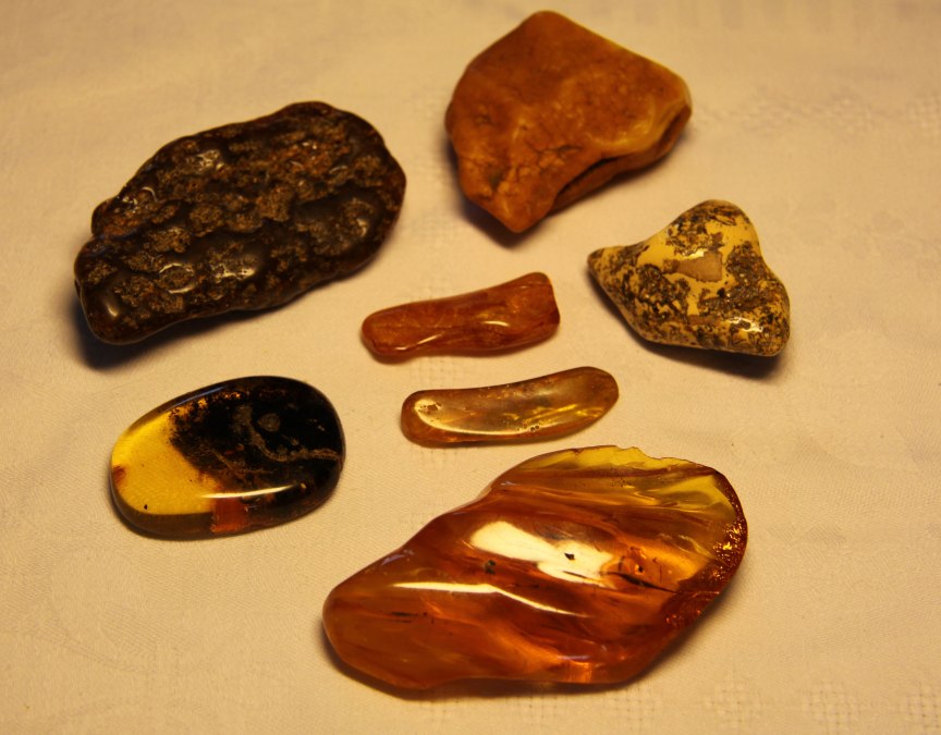 Vortrag: "Bernstein &ndash; das Gold der Ostsee", &copy; Historische Gesellschaft zu Zinnowitz, Ute Spohler, 17454 Zinnowitz, Sc