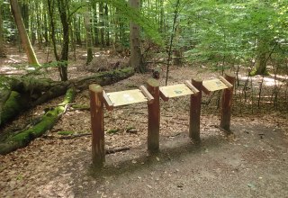 &copy; U. Me&szlig;ner