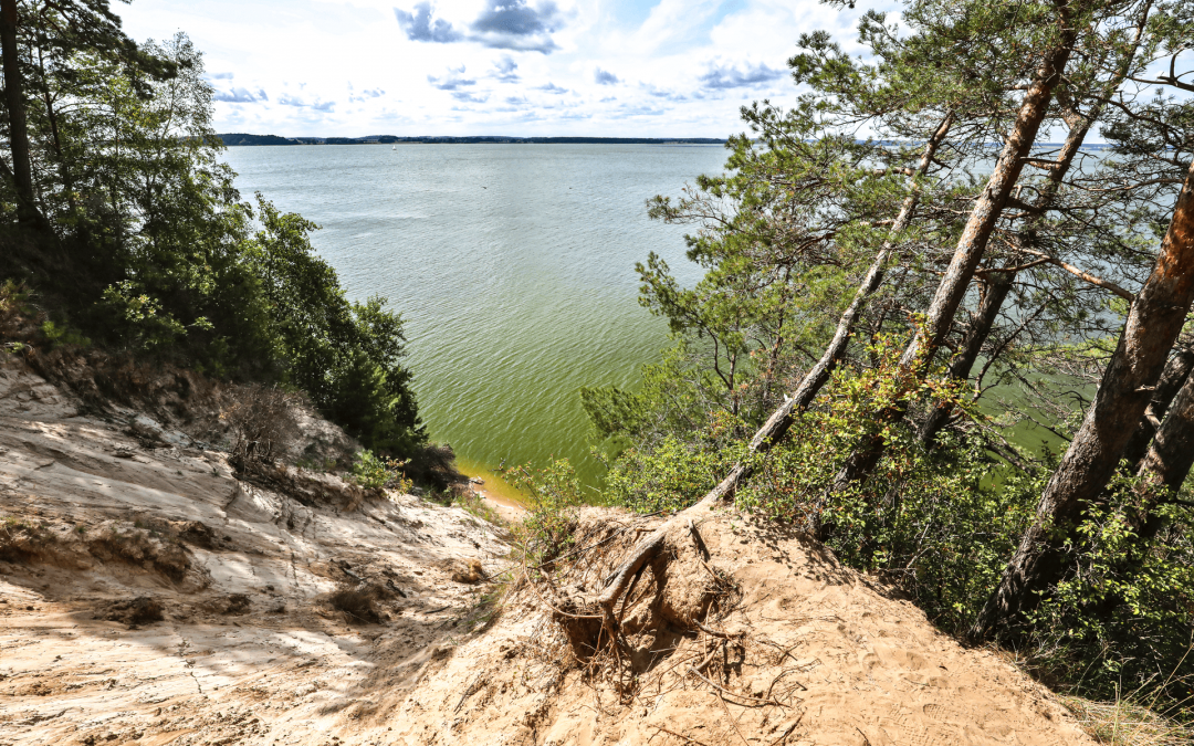 © TMV/Gohlke © TMV/Gohlke