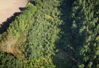 Klimawald Bad Kleinen // © Landesforst MV Klimawald Bad Kleinen // © Landesforst MV