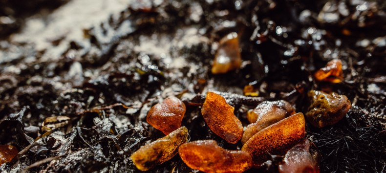 © Binzer Bucht Tourismus © Binzer Bucht Tourismus