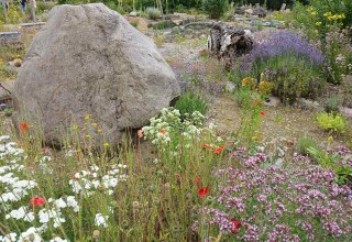 Kr&auml;utergarten in Gustow // &copy; Angela Pfennig