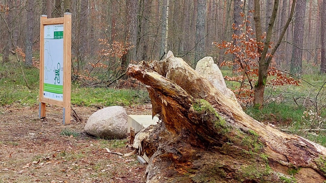 Kurwald 3 quer, © Waren (Müritz) Kur- und Tourismus GmbH