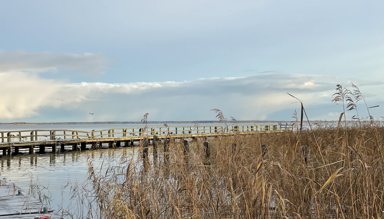 IMG_1800, © TZ Südliche Boddenküste IMG_1800, © TZ Südliche Boddenküste