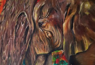 &copy; Diana Teschner