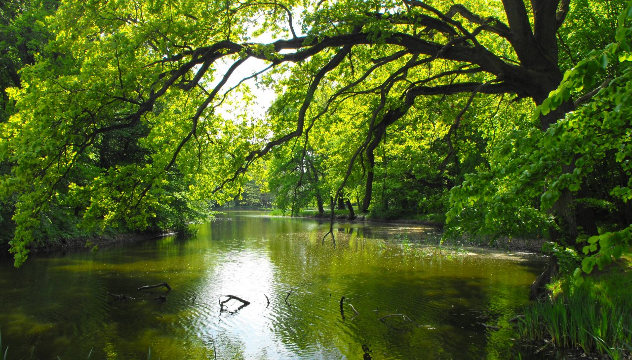 Landschaftspark in Behrenhoff, &copy; Tourismusverband Vorpommern e.V.