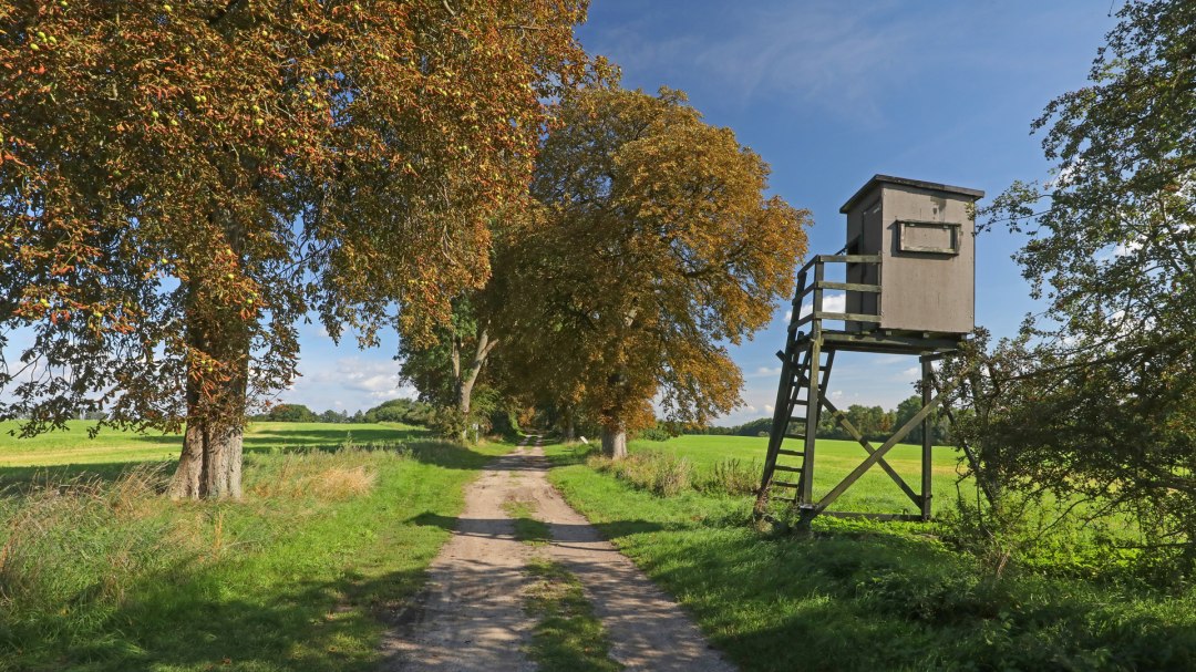 Bienenlehrpfad im Land Fleesensee_4, © TMV/Gohlke