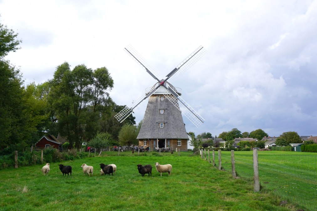 Kaffeemühle Ahrenshoop, © Kurverwaltung Ahrenshoop