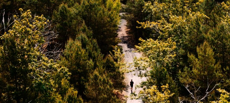 &copy; Binzer Bucht Tourismus