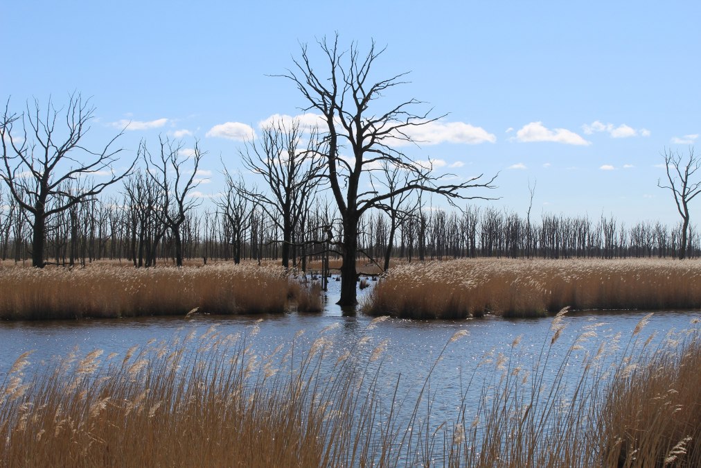 Wanderung " Eine Stadt am Fluss", © AFL