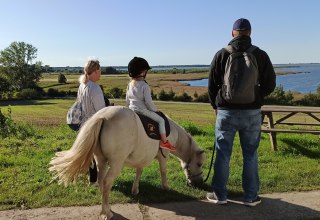 Familientag mit Pony Barth, &copy; DE