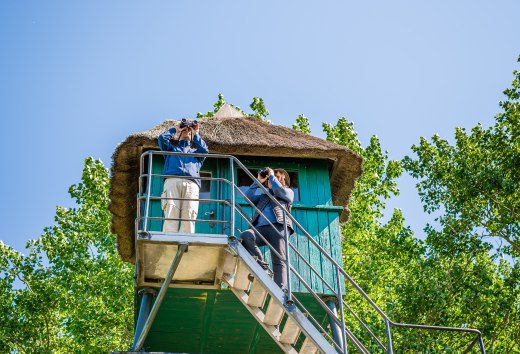 Vanaf de rieten observatiehut is het uitzicht op de duinen en Bodden, inclusief het vogelleven, bijzonder goed op Fischland-Dar&szlig;-Zingst.