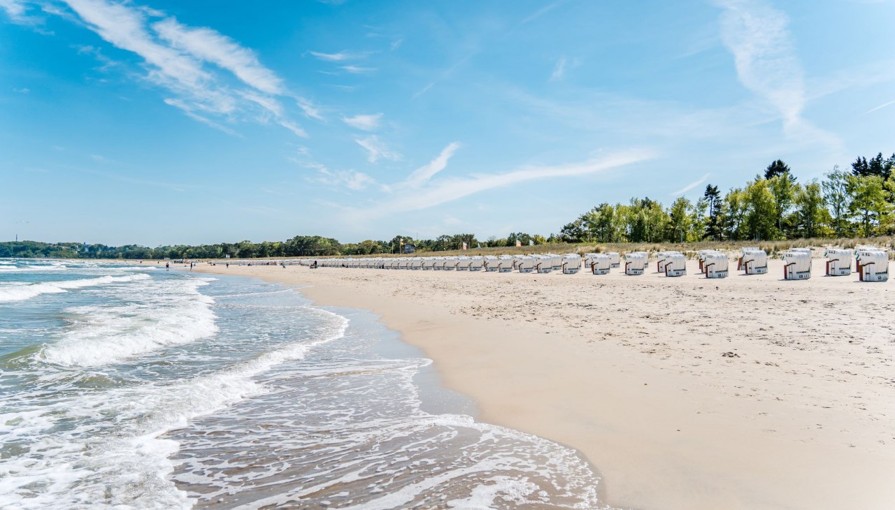 Martina Korth - Rügenvortrag Martina Korth - Rügenvortrag