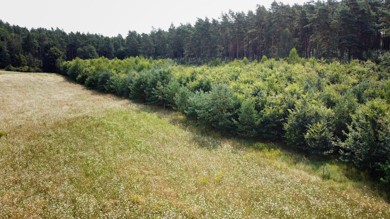 &copy; Landesforst MV