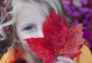 Ein Kind hält ein Herbstblatt vor einen Teil seines Gesichts. Das Motiv steht im Zusammenhang mit dem Herbstferienprogramm des Zoo Rostock. // © Zoo Rostock Ein Kind hält ein Herbstblatt vor einen Teil seines Gesichts. Das Motiv steht im Zusammenhang mit dem Herbstferienprogramm des Zoo Rostock. // © Zoo Rostock