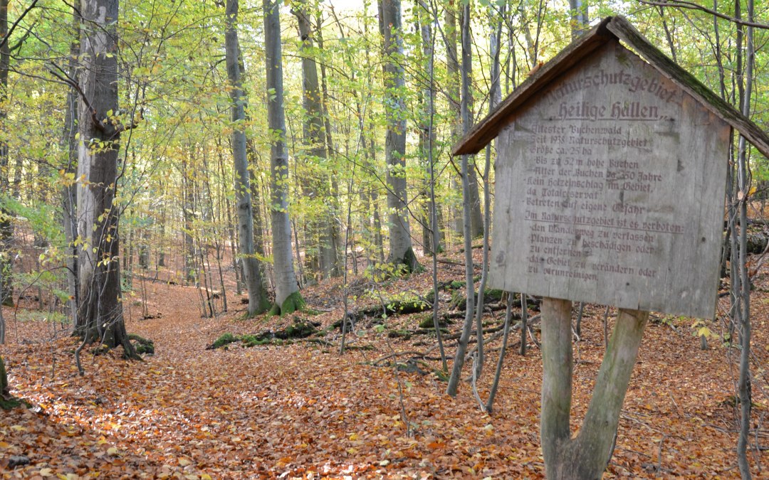 &copy; Kurverwaltung Feldberger Seenlandschaft