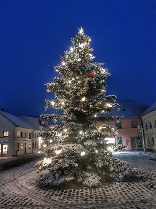 Weihnachtsbaum auf dem Marktplatz, © Gabriele Riech Weihnachtsbaum auf dem Marktplatz, © Gabriele Riech