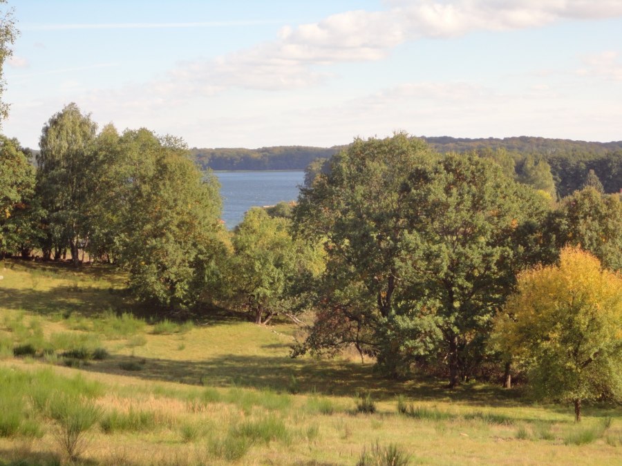 Blick auf den Carwitzer See, © Tina von der Schmidt