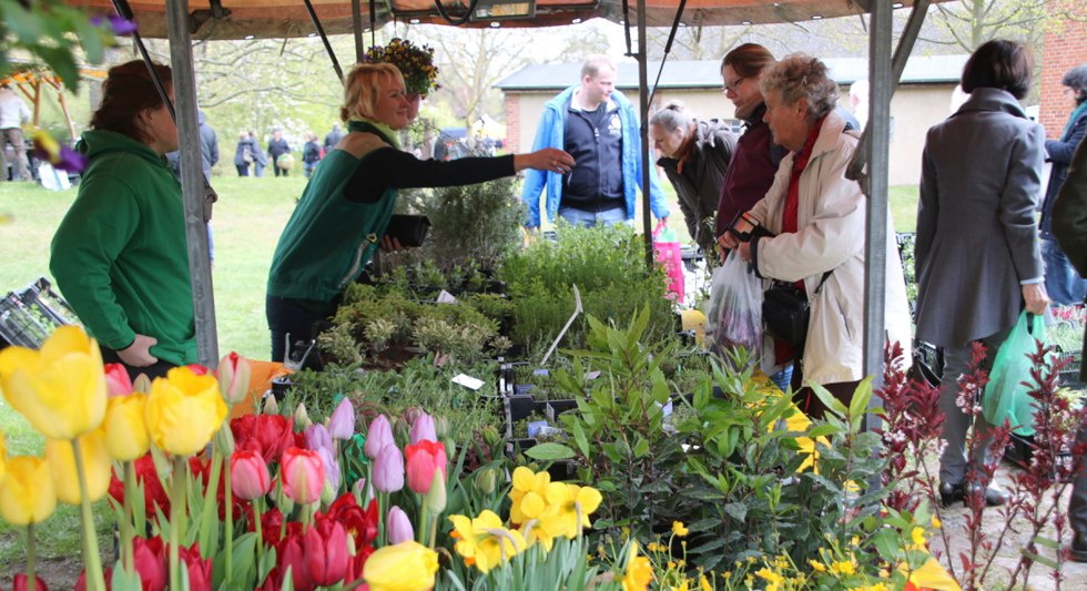 Blumenmarkt, © SGMV Blumenmarkt, © SGMV