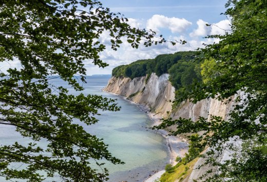 Der Buchenwald auf der kreideweißen Steilküste von Jasmund. Der Blick geht entlang der Küste mit Sicht auf die Ostsee