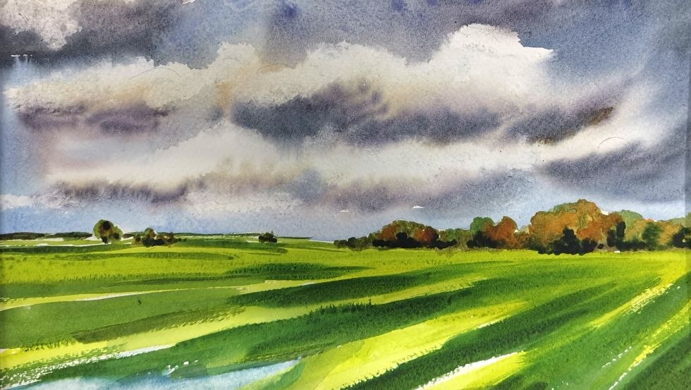 Hinterm Haus, © Marion Körner