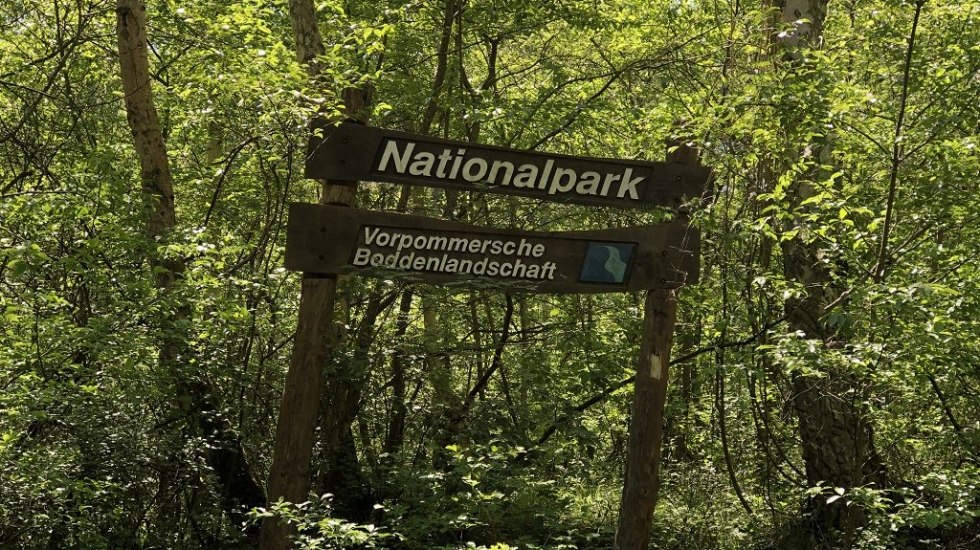Nationaal Park Vorpommersche Boddenlandschaft // &copy; Volker Barthmann