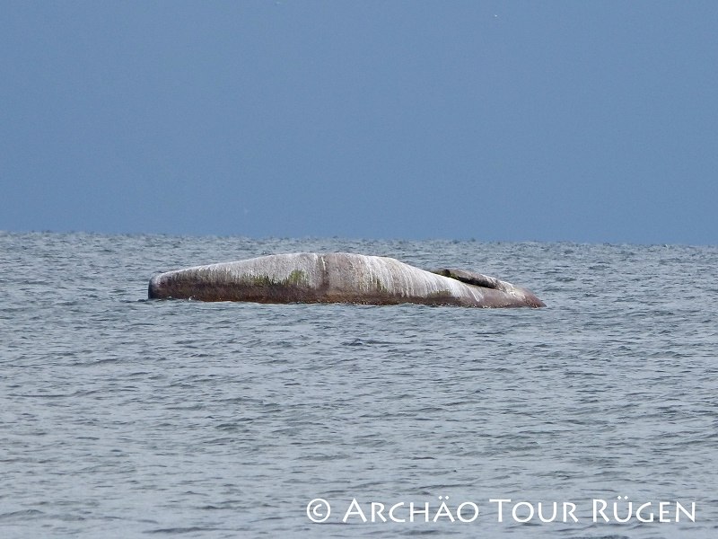 mitten in der Ostse liegt der "Buhskam", &copy; Arch&auml;o Tour R&uuml;gen