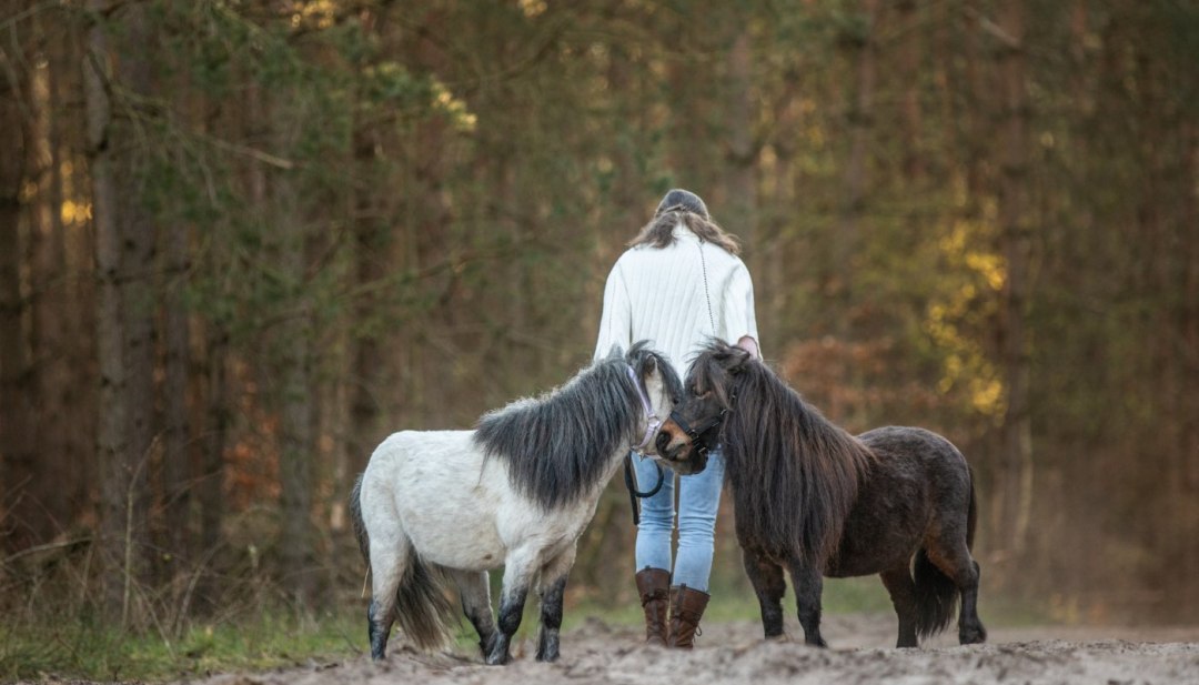 Pferde reagieren auf unsere K&ouml;rpersprache // &copy; Anniemal Fotografie